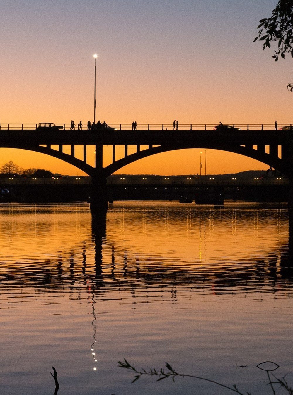 Bat Bridge