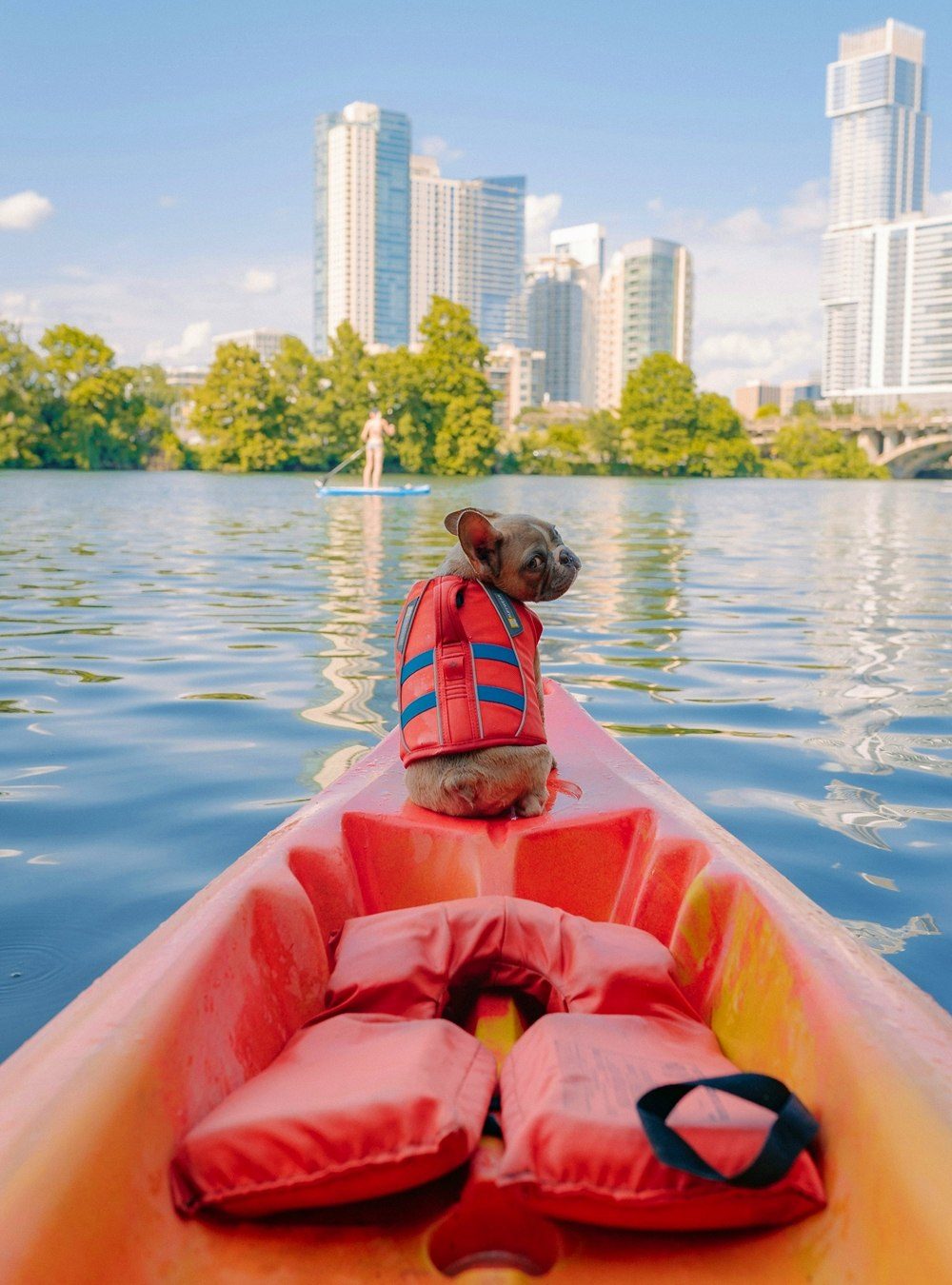 Fun with Pets