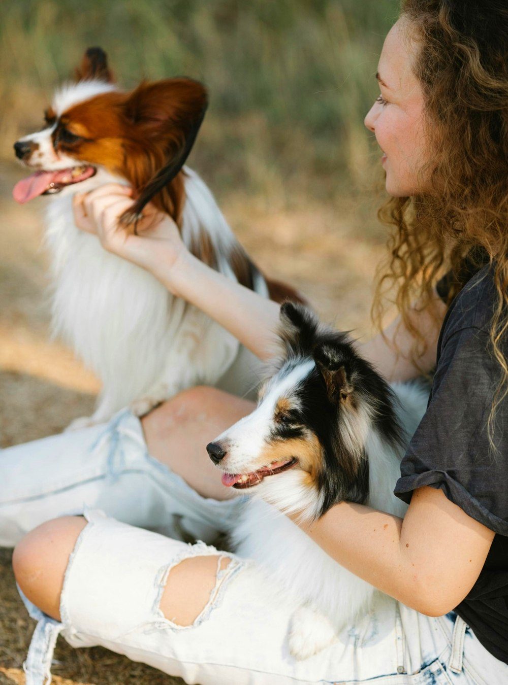 Puppy Hangout